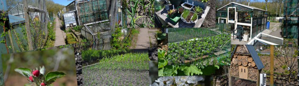 Tuinbouwvereniging "Baljuw"